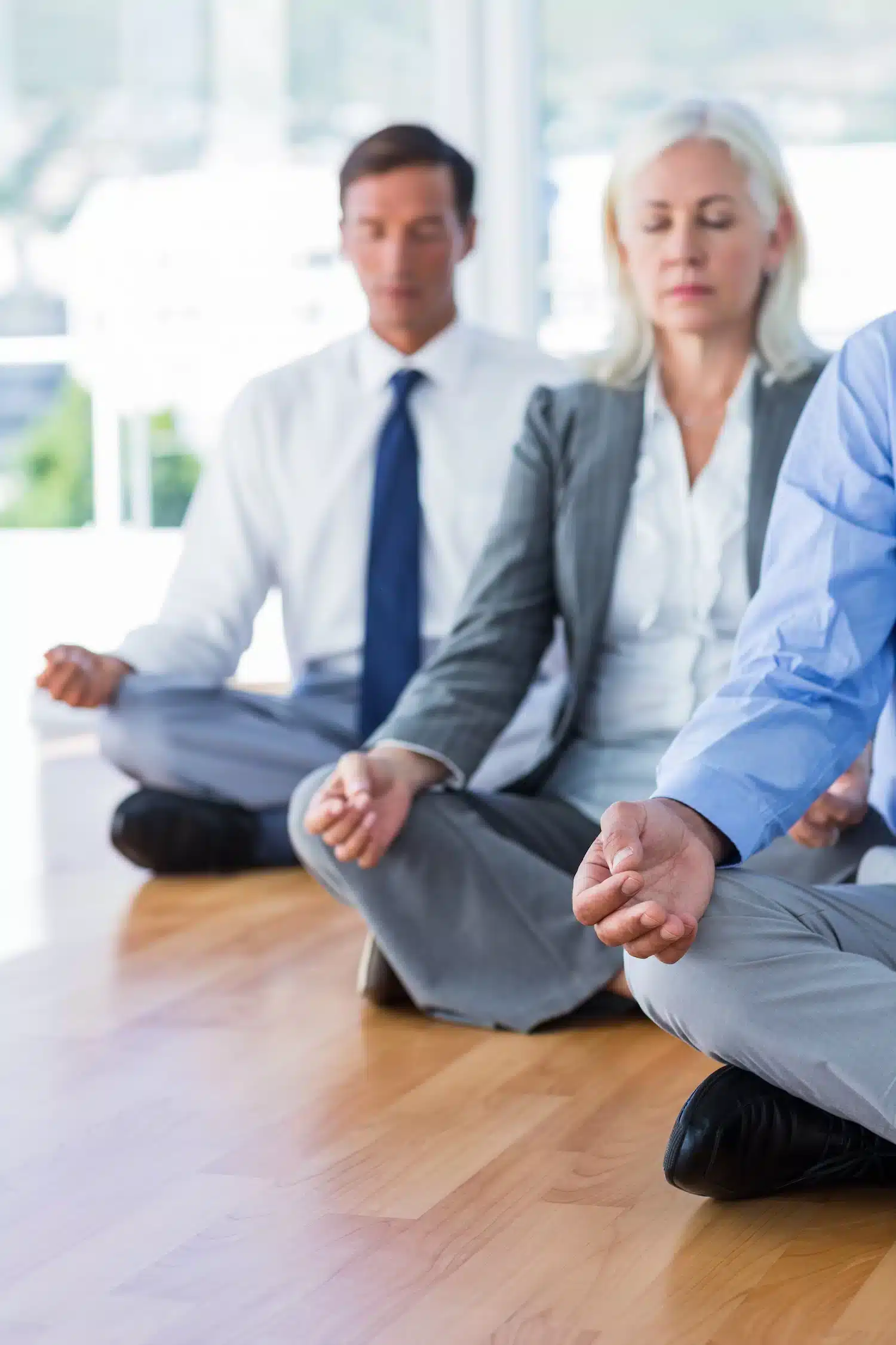 Link to Corporate Retreats & Vedic Meditation